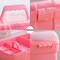 11'' Plastic Storage Box with Removable Tray, Multipurpose Organizer and Storage Case for Art Craft and Cosmetic (Pink)